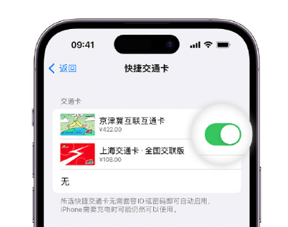 景泰apple维修点分享iPhone上更换Apple Pay快捷交通卡手绘卡面 