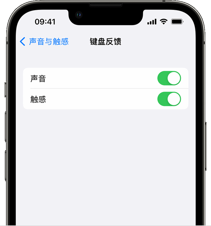 景泰苹果14维修店分享如何在 iPhone 14 机型中使用触感键盘 