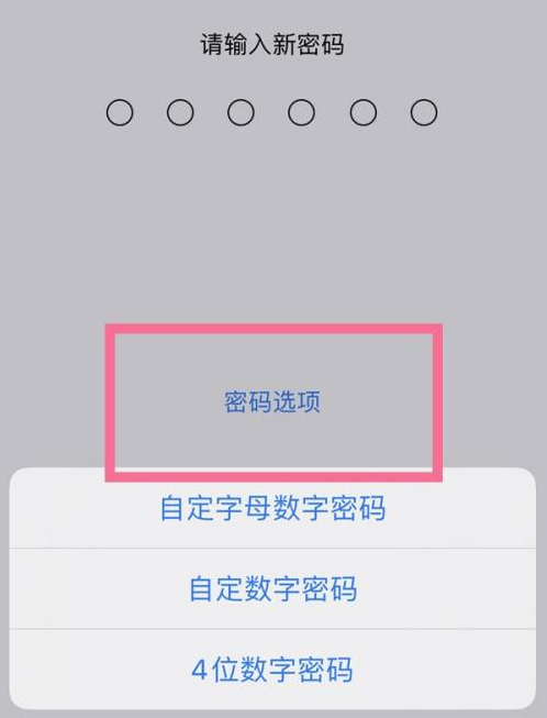 景泰苹果14维修分享iPhone 14plus设置密码的方法 