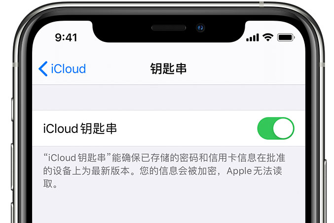 景泰苹果手机维修分享在 iPhone 上开启 iCloud 钥匙串之后会储存哪些信息 