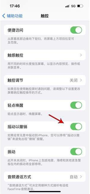 景泰苹果手机维修分享iPhone手机如何设置摇一摇删除文字 